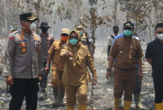 Karhutla Dekati Pemukiman, Satgas  Maksimalkan Pemadaman