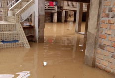 Pemukiman Penduduk di Desa Gunung Meraksa OKU Terendam Banjir