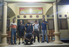 Pelaku Curas DPO, Tertangkap Dalam Ops Musi