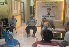 Ayah Pingsan dan Anak Perempuan Nyaris Digigit Anjing Liar