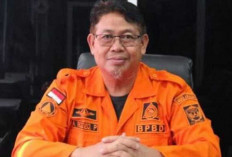 BPBD Muara Enim Catat 33 Kejadian Karhutla