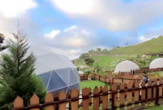 Pemekaran Wilayah Jawa Timur: Inilah Gambaran Singkat Usulan Calon Daerah Otonomi Baru