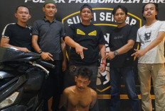 Viral di Medsos, Ferry Good Pencuri Sekarung Kelapa Ditangkap Tim Opsnal Sunyi Senyap Prabumulih Barat