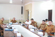 Pemkab Muba Dorong Program Lisdes Demi Peningkatan Kualitas Hidup Masyarakat