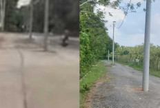 PLN Akan Relokasi Tiang Listrik di Tengah Jalan di Ogan Ilir