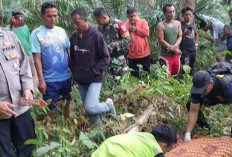 Pemuda 21 Tahun Tewas Dibacok di Kebun Sawit Jirak Jaya Muba, Pelaku Serahkan Diri