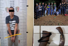 Polda Sumsel Ungkap Kasus Pembunuhan di OKU Selatan, Pelaku Ditangkap