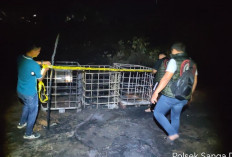 Kebakaran Tedmon Minyak di Sanga Desa Berhasil Dipadamkan, Tidak Ada Korban Jiwa