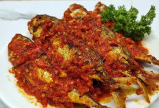 Ikan Kembung Sambal, Sajian Sederhana yang Menggugah Selera