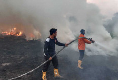 Dua Lokasi Karhutbunla di Serasan Jaya Berhasil Dipadamkan, BPBD Muba Imbau Warga Waspada
