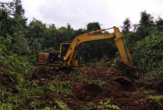 Perkuat Pengendalian Karhutla di Muba, PT RHM Bangun Sekat Bakar 890 Meter
