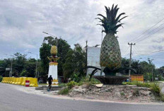 Bukan Hapus Ikon Kota, Pembongkaran Tugu Nanas Prabumulih untuk Persiapan Exit Tol dan Pelebaran Jalan