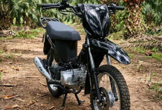 Cuma Rp13 Jutaan, Viar R2K Motor Tangguh yang Bisa Bawa Keranjang Sawit. 