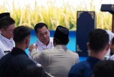 Banyuasin Jadi Jawara Beras Nasional: Bupati Askolani Boyong Satyalencana Wira Karya