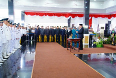 Penataan Birokrasi Dilakukan Berbasis Kompetensi untuk Perkuat Kualitas Pelayanan Publik