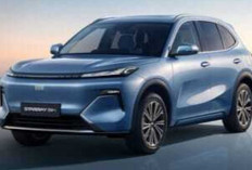 Harga Promo DFSK Seres E1 di Palembang, Mobil Listrik Kompak Paling Masuk Akal untuk Warga Perkotaan