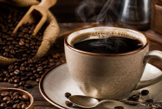 7 Jenis Kopi yang Lebih Ramah untuk Lambung, Penikmat Kopi Tak Perlu Takut Maag Kambuh