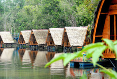 Danau Shuji Dari Tempat Pembuangan Sampah Menjadi Destinasi Wisata Unggulan