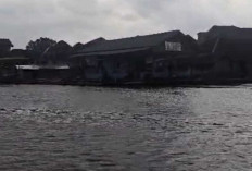 Hujan Turun, Ikan Sungai Ogah Makan? Ini Solusi Biar Mancing Tetap Strike dan Tak Boncos