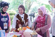 Lomba Masak Ikan di Palembang Lahirkan Inovasi Menu Lezat, Dorong Penurunan Stunting