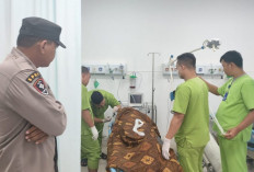 IRT di OKU Tewas Ditabrak Babaranjang