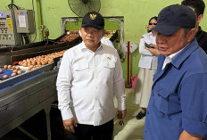 Herman Deru Dampingi Kepala Staf Kepresidenan Tinjau Peternakan Ayam Petelur di Banyuasin