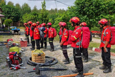 Kolaborasi Tim Gabungan Terus Lakukan Pemadaman Karhutla di Muara Medak