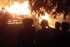 Niat Usir Nyamuk, Rumah Ludes Terbakar