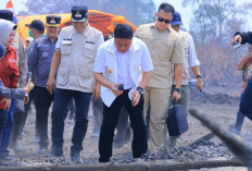 Tinjau Karhutla di Muba, Herman Deru Tekankan Pencegahan dan Keterlibatan Masyarakat