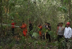 Bupati OKU Berjibaku Padamkan Karhutla di Wilayahnya