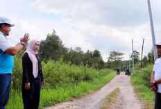 PLN–DPR RI Tinjau Progres Listrik Desa Pulau Semambu, 4,63 Km Jaringan Rampung Jangkau Lima Dusun