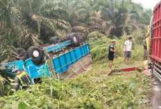 Dua Truk Adu Banteng di Jalinsum Lubuk Kemang Muratara, Begini Kondisi Sopir dan Penumpang