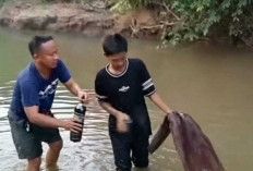 PT KIT Diduga Lakukan Pencemaran Sungai, Warga Sekitar Protes
