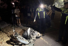 Dua Motor Adu Kambing! Satu MD dan Satu Luber, Berikut Kronologisnya