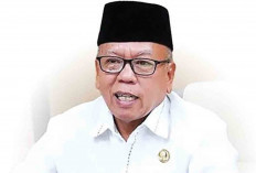 Owner Ummi Travel Terancam Dipecat sebagai ASN Musi Rawas, Ini Penjelasan Sekda! 