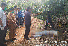 Polda Sumsel Ungkap Kasus Pembunuhan Berencana di OKU Selatan, Pelaku Ditangkap Usai Buron Hampir Dua Tahun