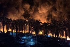 Kobaran Api di Sumur Minyak Ilegal Hindoli Kembali Mengamuk, Kendaraan Ludes Terbakar