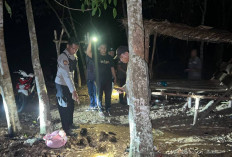 Dianiaya Pakai Tojok, Petani Tewas