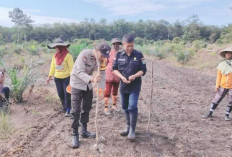 Dukung Program Ketahanan Pangan, Polsek Gelumbang Tanam Jagung