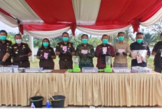 Kejari OKU Musnahkan Puluhan Gram Sabu dan Pil Ekstasi