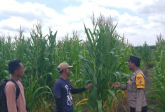 Dorong Pemanfaatan Lahan Produktif