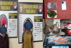 Barang Haram Gagal Edar di Acara Orgen Tunggal, Dua Pelaku Dibekuk Polisi