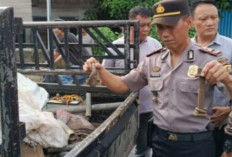 Curi Besi Rel Kereta Api, Dua Warga OKU Diringkus Polisi