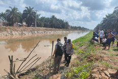 Geger! Mayat Pria Misterius Mengapung di Parit Primer Babat Supat, Identitas Masih Jadi Teka-teki