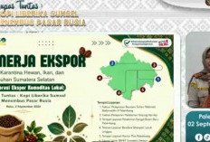 Kopi Liberika Sumsel Bidik Pasar Rusia, Barantin Perkuat Pendampingan UMKM Menuju Ekspor