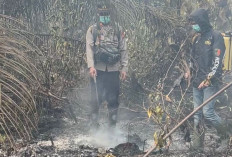 Hotspot Muncul di Sinar Tungkal Muba, Polisi dan Tim Gabungan Cek Lokasi Karhutlah