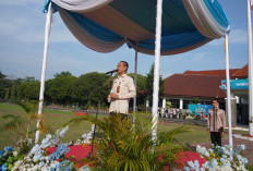 Ketangguhan Keluarga Kunci Hadapi Disrupsi Global