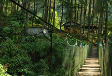 Pemekaran Wilayah Jawa Barat: Wacana Pembentukan Kabupaten Bogor Timur Muncul Dari Desakan Tokoh Daerah