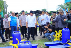 Perkuat Produktivitas Udang Sungai Menang, Herman Deru Dorong Go Export dan Infrastruktur Listrik Tambak OKI