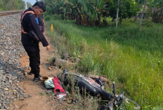 Motor Tertabrak KA Babaranjang di Perlintasan Tanpa Palang di OKU Timur, Pengendara Tewas